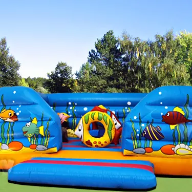 Classique VIV product photo
