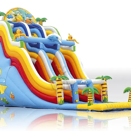 Dolphin GIGANT Professional commercial inflatable slide